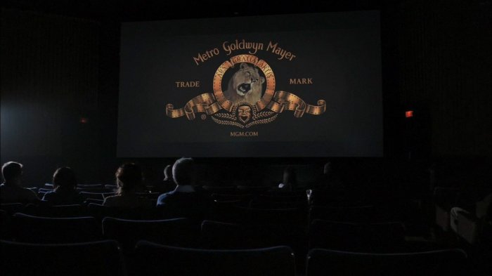Im Kino