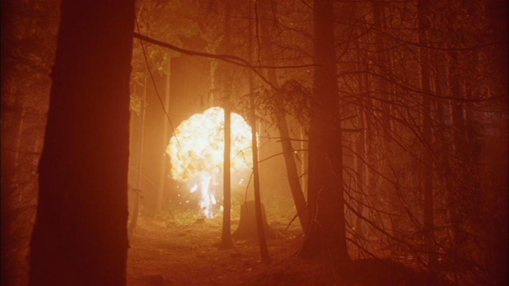 Ba'kals Tod im Wald des fremden Planeten