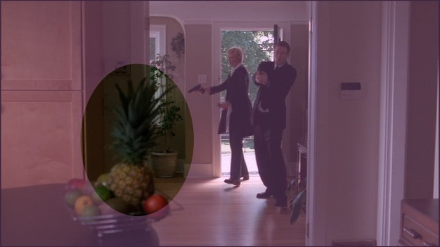 Die Ananas in Mark Devlins Haus