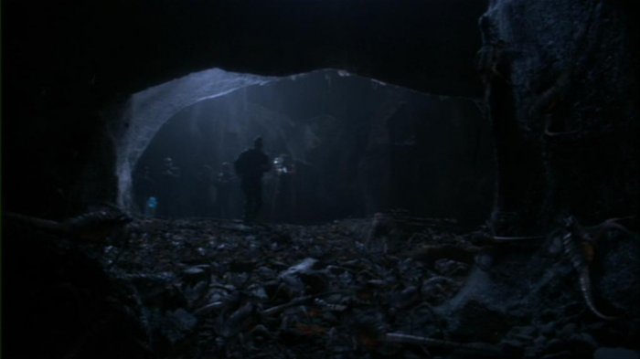 Die Iratuskäfer in der Höhle.