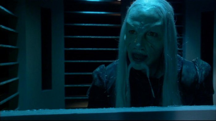 Der gefangene Wraith, Steve