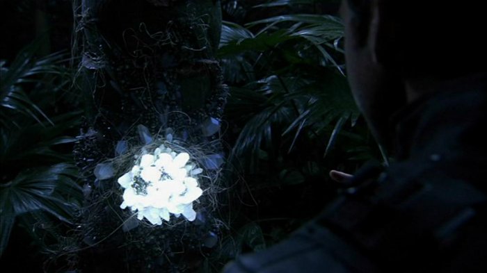 Ein Kristallwesen (SGA 4x04) an einem Baum.