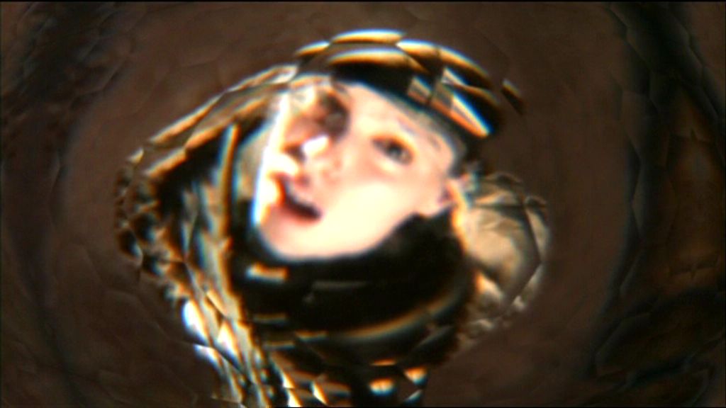 Blick durch die Augen des Wesens