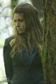 Neeva im Wald