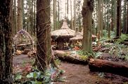 Das Dorf der Nox