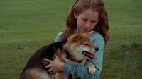Cassandra und ihr neuer Hund