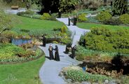 Der Garten auf P7J-989