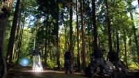 Negleys Team am Stargate, als Michaels Jäger durch das Gate kommt
